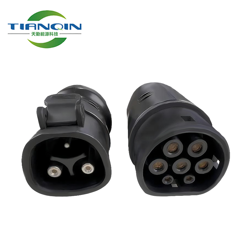 Դ늄(dng)܇tesla˹D(zhun)W(bio)Type 2I