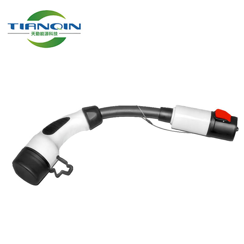 Դ˹TeslaD(zhun)Type2D(zhun)mҎ(gu)W(bio)CCS2L(zhng)